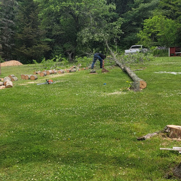 tree removal