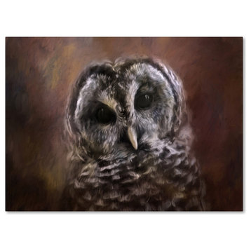 Jai Johnson 'The Curious Owl' Canvas Art, 24 x 18