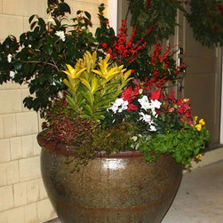Container gardening - Home Decor