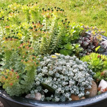 Jardin moyen
