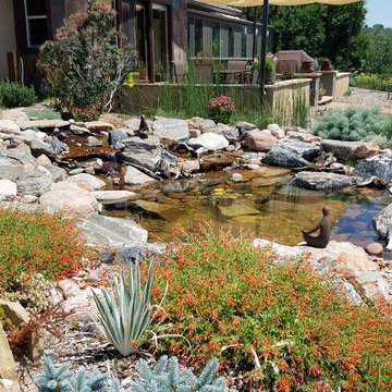 Permaculture Project