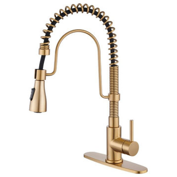 Single Handle Kitchen Faucet 1.8 GPM with Pull Down with Three Functions, Brushed Gold