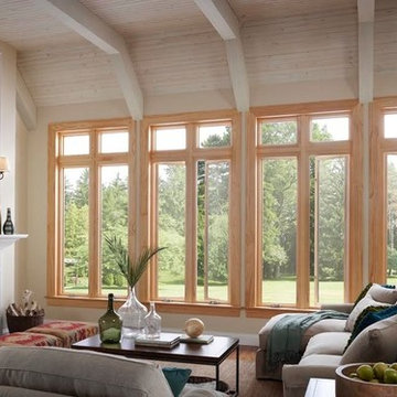 Transitional Living Room
