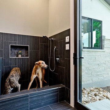 Hill Country Contemporary - Dog Shower