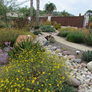 Idées déco pour un xéropaysage avant sud-ouest américain.