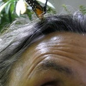 Foto von Michael Ornstein