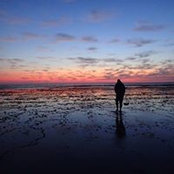 Jeff Waniceks foto