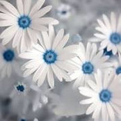 Louise Dover's photo