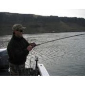 Tom Melia's photo