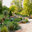 Tradewinds Landscape & Irrigation