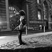 Diana Tebbe's photo