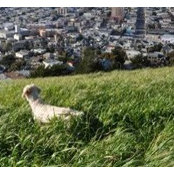 Lawrence Huang's photo