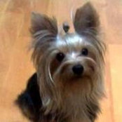 Foto von Emily Leung