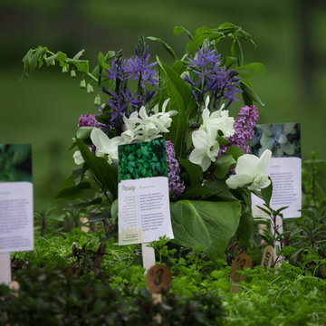 Flora Verdura Herbal Plant Sale