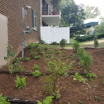 Conservation Landscaping
