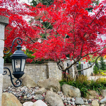 FALL is for COLOR