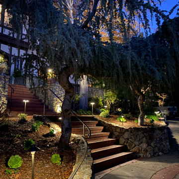 Berkley Hills lighting project