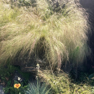 Alki Beach Garden