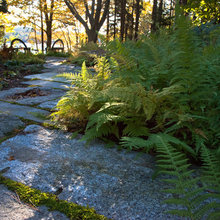 paving