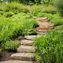 Landscape Ideas
