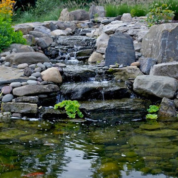 Stream and Koi Pond