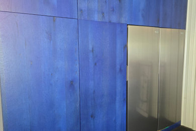 Inspiration for a modern home design remodel in Minneapolis