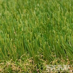 Imperial Fescue Mid - Products