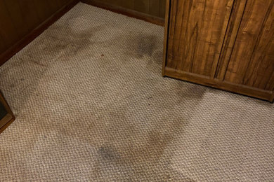 Carpet Cleaning Basement