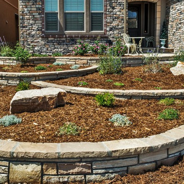 Back Country - Highlands Ranch - Swim Spa