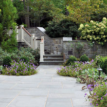 Landscape Ideas