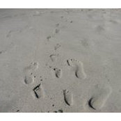 Daniel Savu's photo