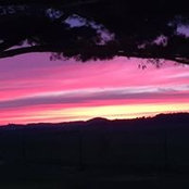 Sara Griffin's photo