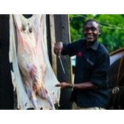 Charles Murungi's photo