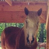 Joanie Yankanich's photo
