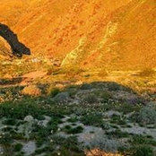 Bronco Cadenhead's photo