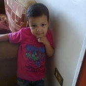 Gehad Mahmoud's photo