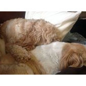 Marlene O'Donnell's photo
