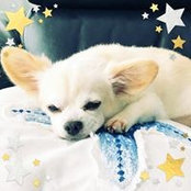 Na Tsu's photo