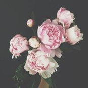 MinhTr Vo's photo