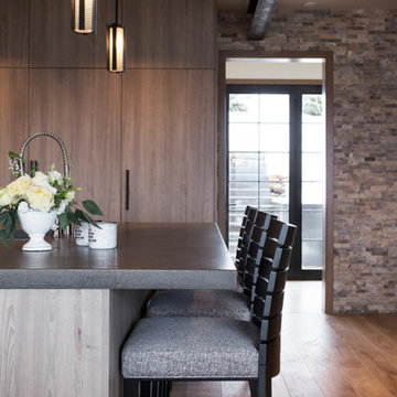 Ski In Ski Out Contemporary home