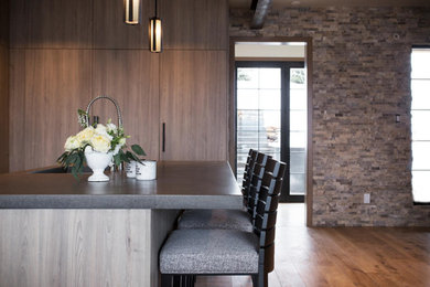 Kitchen - contemporary kitchen idea in Salt Lake City with flat-panel cabinets