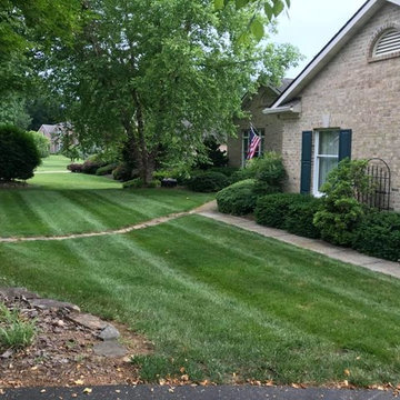 Lawn Care and Contracting