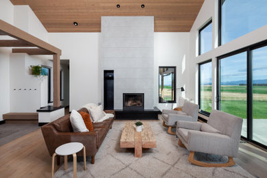 Inspiration for a rustic living room remodel in Other