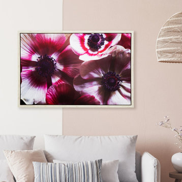 'Anemone II', 38"x25" Photo by Veronica Olson, Printed on Canvas, Framed