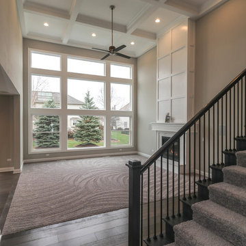 Amelia III Modified | South Pointe Naperville, IL