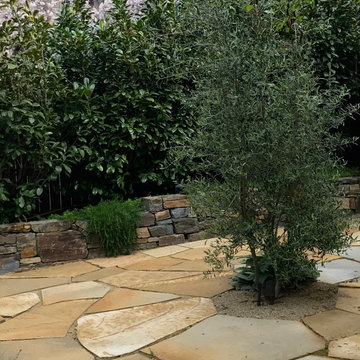 Mediterranean Courtyard