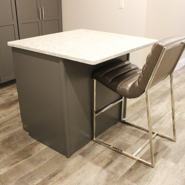 Lower Level Remodel With Home Bar, Spa-like Suite, Craft Room , and Home Gym