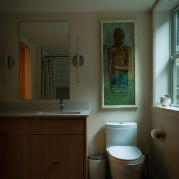 Begun/Weissman Remodel