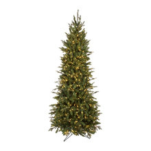Christmas Trees