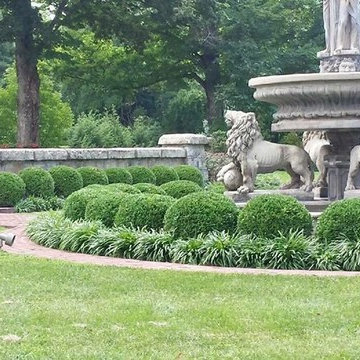 Hedges Landscaping